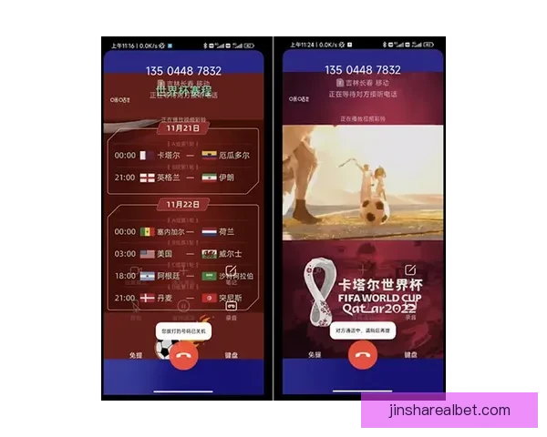 世界杯买球平台全面解析 优选平台助力投注决策 提升竞猜体验